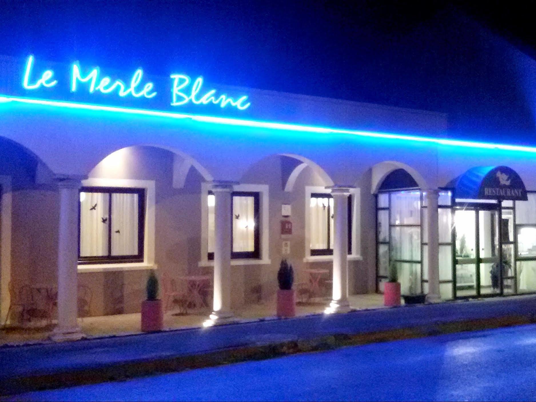 Le Merle Blanc Hotel Logis Digoin Εξωτερικό φωτογραφία